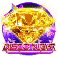 DiscoNight