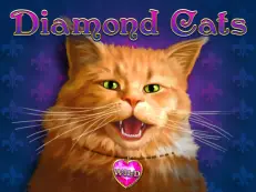 Diamond Cats