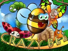 Crazy Bee