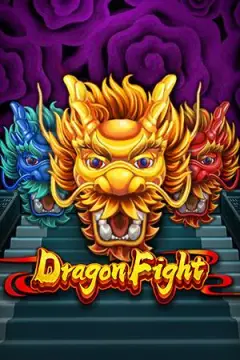 Dragon Fight